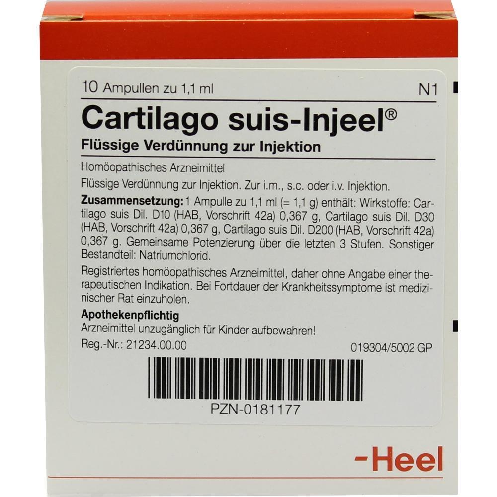 Die Packung zeigt hom&ouml;opathische Injektionsampullen von Cartilago suis-Injeel.