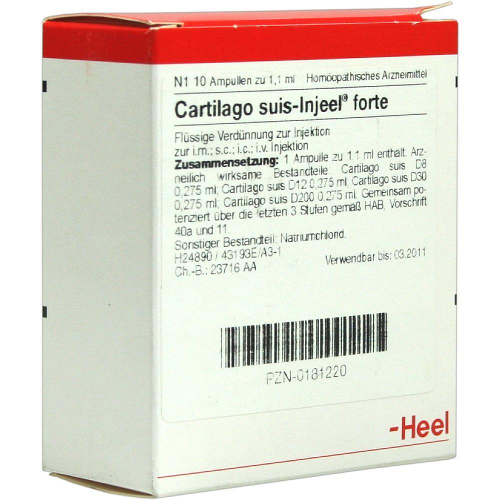 Eine Box mit hom&ouml;opathischen Ampullen zur Injektion namens "Cartilago suis-Injeel forte".