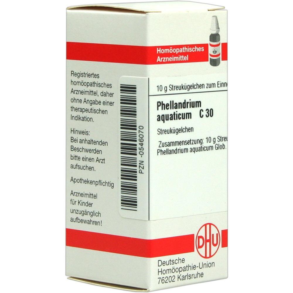 Wei&szlig;e Schachtel mit hom&ouml;opathischen Streuk&uuml;gelchen Phellandrium aquaticum C30.