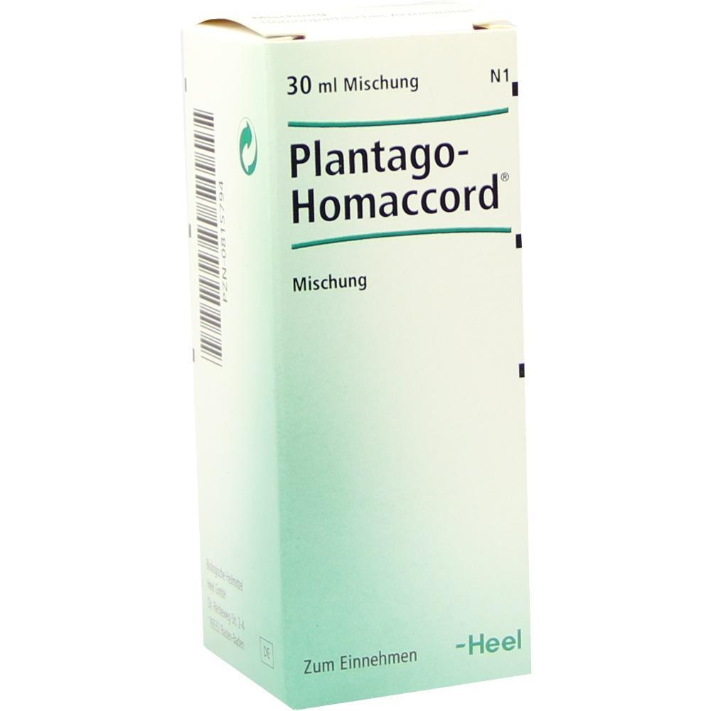 Wei&szlig;e Verpackung mit der Aufschrift "Plantago-Homaccord" und "Zum Einnehmen".