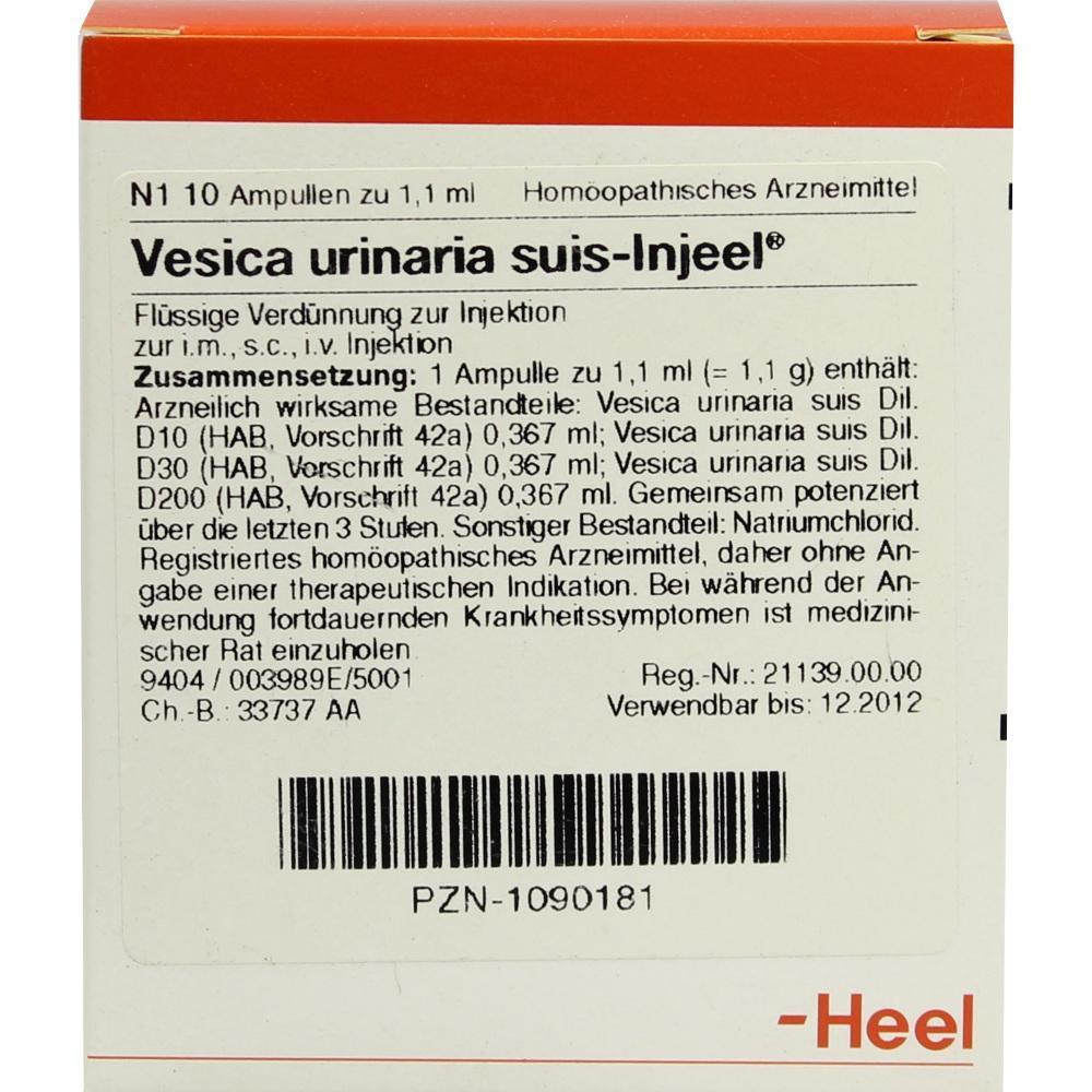 Verpackung einer hom&ouml;opathischen Injektionsl&ouml;sung namens Vesica urinaria suis-Injeel.