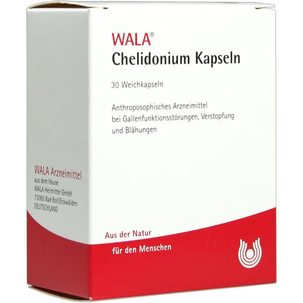 Eine Packung WALA Chelidonium Kapseln gegen Gallestörungen und Blähungen.