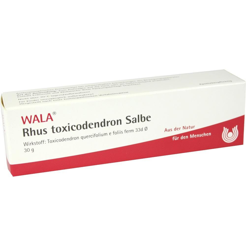 Eine Schachtel Rhus toxicodendron Salbe von WALA.