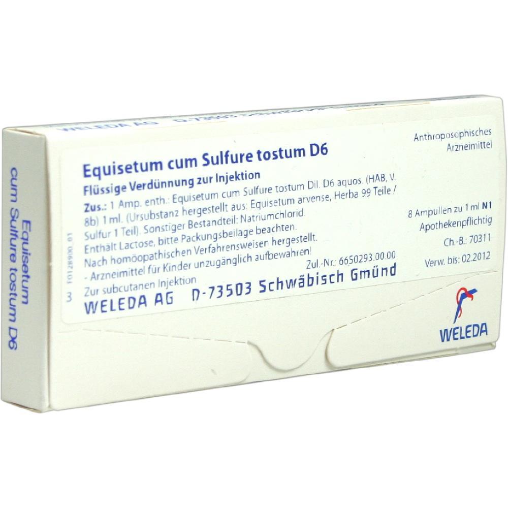 Wei&szlig;e Verpackung mit der Aufschrift "Equisetum cum Sulfure tostum D6".