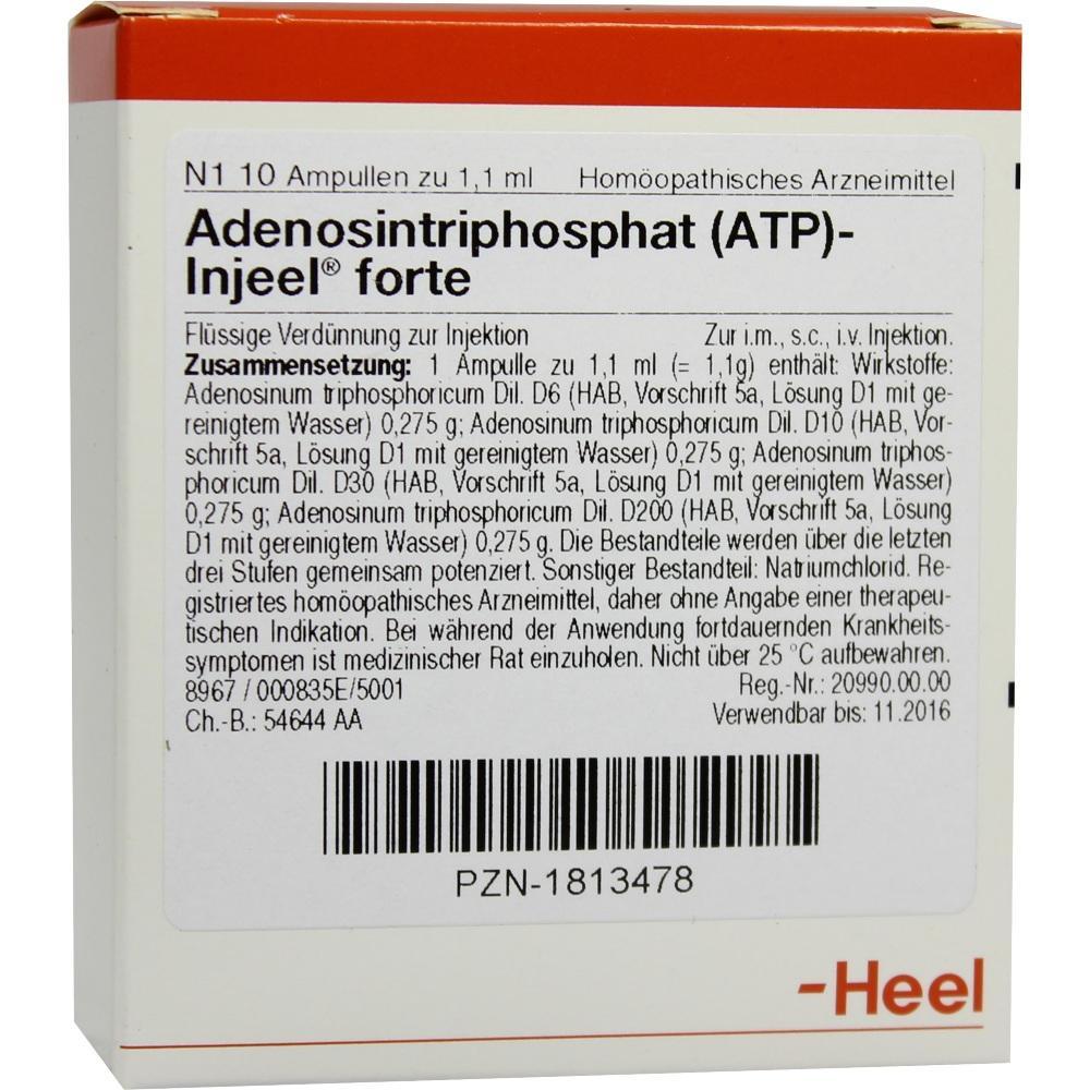 Die Packung enth&auml;lt 10 Ampullen eines hom&ouml;opathischen Arzneimittels zur Injektion.