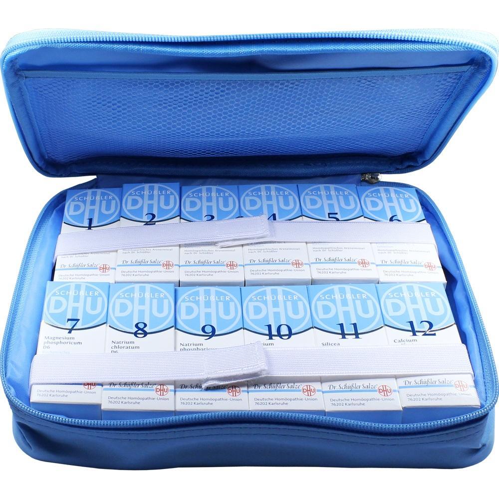 Eine blaue Tasche mit vielen Schachteln Sch&uuml;&szlig;ler-Salze.